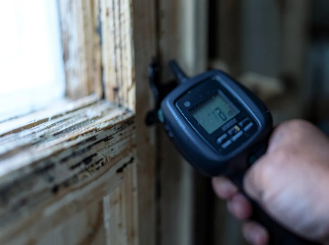 Moisture Inspection And Documentation in Park City, KS